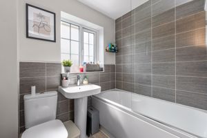 Photo 12- click for photo gallery